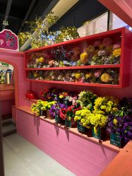 -幻贝家儿童乐园(武汉永旺梦乐城店)