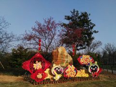 -天适樱花悠乐园