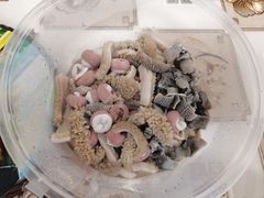 焯羊杂拌-老爆肚满五香烧牛羊肉