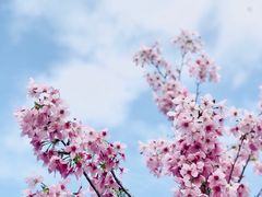 -楠溪江风景名胜区