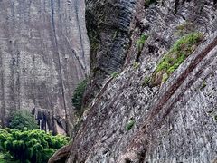 -九曲溪竹筏码头