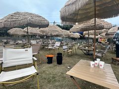 -桃源山庄·水蜜桃采摘·柴火鸡·烧烤团建(龙泉山店)