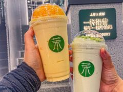 -茉酸奶(春熙路店)