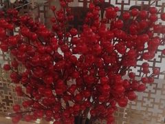 -红菜坊·烤鸭·川鲁宴(石园店)