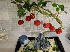 网红妃子笑-光明招待所(邦凯科技园店)