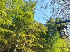 -杭州半山国家森林公园