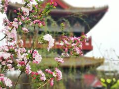 -清明上河园
