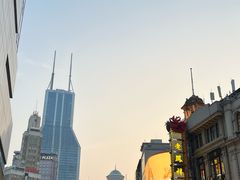 -沈大成(南京东路店)