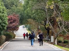 -南京市江宁方山