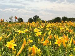 -汉长安城未央宫国家考古遗址公园