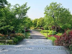 -羊山湖公园