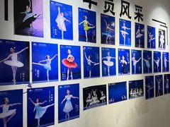 -中央芭蕾舞团·中芭艺蕾(酒仙桥明星校区)