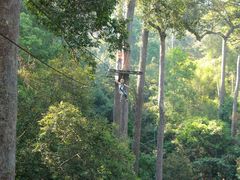 -清迈丛林飞跃 JungleFlight
