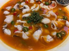 青花椒味砂锅鱼-青花椒花椒鱼(合生汇店)