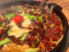 -老板恋上鱼(恒隆广场店)