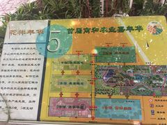 -南和农业嘉年华