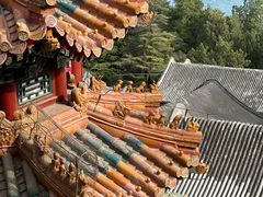 -颐和园