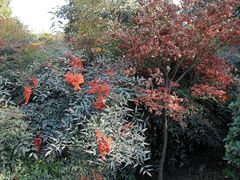 -西安汉城湖景区