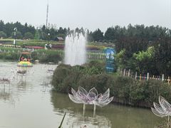 -荷兰花海