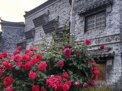-台儿庄古城