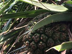 -龙坑生态保护区