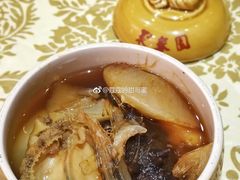 -聚春园自助餐厅(东街口店)