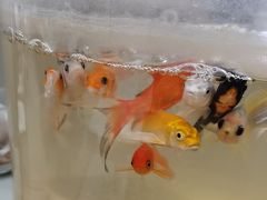 -老地方啤酒屋·海鲜青岛菜大排档(台东步行街店)