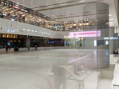 -TheRink大零溜冰场(IFS国金中心店)