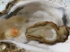 -华圆美食