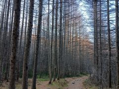 -秦岭风景区