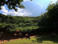 -西双版纳勐泐文化旅游区