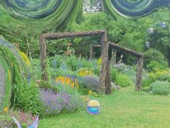 -上海共青森林公园