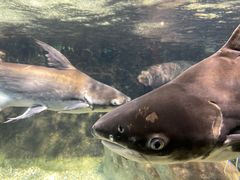 -太平洋海底世界