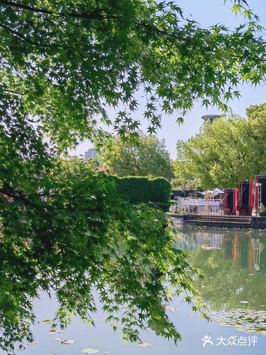 嘉定紫藤园图片