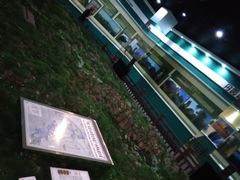 -龙虎山世界地质公园博物馆