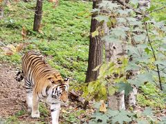 -哈尔滨北方森林动物园