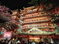 -越秀西湖花市(广州城市广场花卉店)