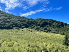 -白草畔自然风景区