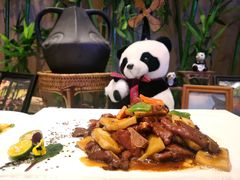 -成都保利公园皇冠假日酒店(熊猫基地店)