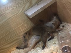 -SFC上影影城(成都科华IMAX店)