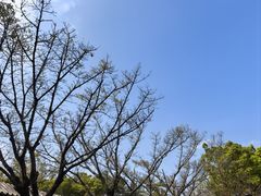 -粤晖园