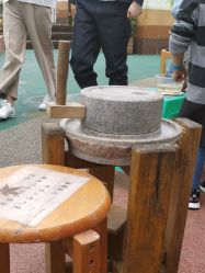 -梦田都市农场(银泰城店)