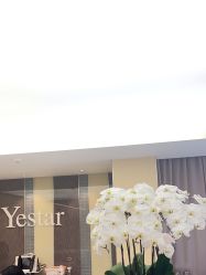 -Yestar宁波艺星整形医院