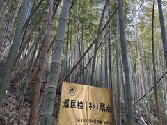 -莫干山风景区