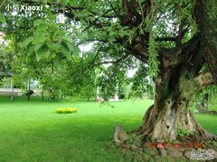 照片-西昌邛海宾馆