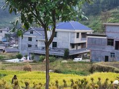 -紫鹊界梯田景区