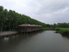 -白渔泡湿地公园