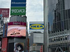 -涩谷区