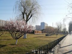 -汉堡王(西铁营万达店)