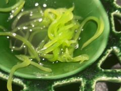 -锦荟JINHUI·浙江小馆(上海荟聚店)